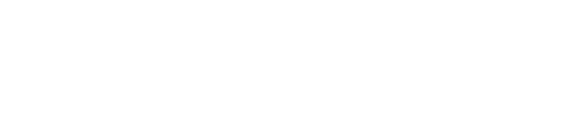 Bradford-White-Logo-2